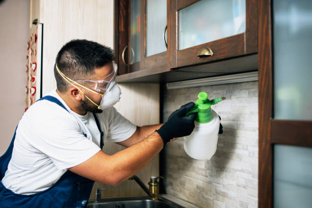 Best Pest Removal Services  in Carrboro, NC