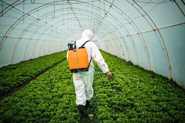 Best Pest Control Cost  in Carrboro, NC
