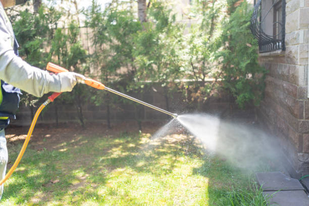 Trusted Carrboro, NC Pest Control Experts