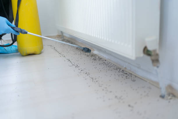 Best Pest Prevention Services  in Carrboro, NC